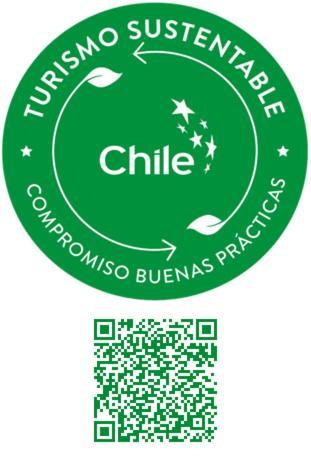 Cabanas Rio Quemille Huillinco 外观 照片